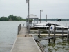 Heron Duck on Pier