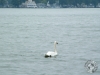 BuckeyeLake-2015__5.JPG