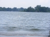 Swan 2